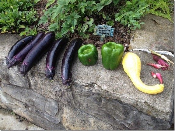rosie-the-riveter-Plant-a-victory-garden